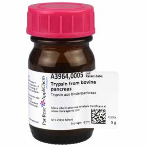 Trypsin aus Rinderpankreas 5g</p>Trypsin from bovine pancreas</p>Laborbedarf,Biochemikalien,Enzyme,Trypsin aus Rinderpankreas