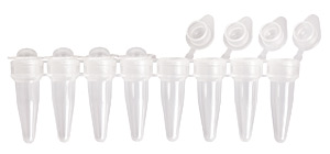 8er-Strips PCRmit einzeln anhngenden Deckeln, Domdeckel<br>PCR-strips of 8 tubes,8 x 0.2ml,dome cap,attached-individual<br>Laborbedarf,Molekularbiologie,8er-Strips