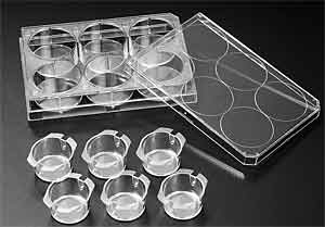 Einstze, hngend , fr 6-well Zellkulturplatten, Membran PC (Polycarbonat),Arbeitsvolumen 1.5-2.5ml, steril, 6/24<br>Insert for cellculture plates, hanging, working volume 1,5-2,5ml<br>Laborbedarf,Zellkultur,Inserts