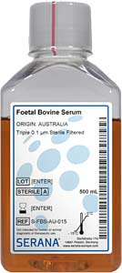 Fetales Klberserum (Herkunft Australien), Dreifach 0,1 m steril gefiltert , 500ml</p>Foetal Bovine Serum, Collected in Australia,Triple 0.1 m Sterile Filtered, 500ml</p>Zellkulturmedien,fetales Klberserum, gesammelt in Australien