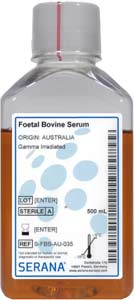 Fetales Klberserum (Herkunft Australien), Gammabestrahlt, 500ml</p>Foetal Bovine Serum, Collected in Australia, Gamma Irradiated, 500ml</p>Zellkulturmedien,fetales Klberserum, gesammelt in Australien