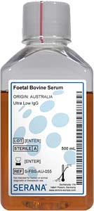 Fetales Klberserum (Herkunft Australien), Ultra Low IgG, sehr geringe Antikrperkonzentration, 500ml</p>Foetal Bovine Serum, Collected in Australia,  Ultra Low IgG, 500ml</p>Zellkulturmedien,fetales Klberserum, gesammelt in Australien