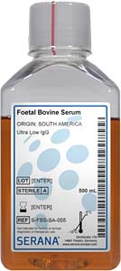 Fetales Klberserum (Herkunft Brasilien), Ultra Low IgG , 500ml</p>Foetal Bovine Serum, Collected in Brazil, Ultra Low IgG, 500ml</p>Zellkulturmedien,fetales Klberserum, aus Sdamerika