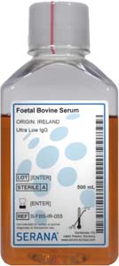 Fetales Klberserum (Herkunft Irland), Ultra Low IgG, sehr geringe Antikrperkonzentration, 500ml</p>Foetal Bovine Serum, Collected in Irland,  Ultra Low IgG, 500ml</p>Zellkulturmedien,fetales Klberserum, gesammelt in Australien