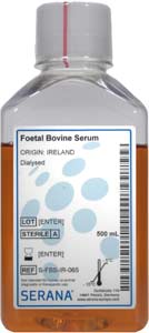 Fetales Klberserum (Herkunft Irland), dialysiert, 500ml</p>Foetal Bovine Serum, Dialysed,Collected in Irland, dialysed, 500ml</p>Zellkulturmedien,fetales Klberserum, gesammelt in Australien