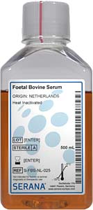 Fetales Klberserum (Herkunft Niederlande), Hitze inaktiviert, 500ml</p>Foetal Bovine Serum, Collected in Netherlands,  Heat Inactivated, 500ml</p>Zellkulturmedien,fetales Klberserum, gesammelt in Australien