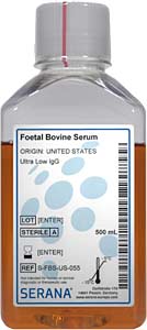 Fetales Klberserum (Herkunft USA), Ultra Low IgG , 500ml</p>Foetal Bovine Serum, Collected in United States, Ultra Low IgG, 500ml</p>Zellkulturmedien,fetales Klberserum, aus Sdamerika