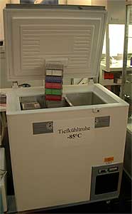 Ultratiefkhltruhe 100 Liter, Temperaturbereich: - 80 C bis - 85 C